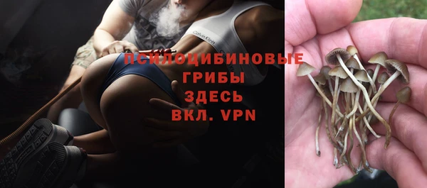 винт Фурманов