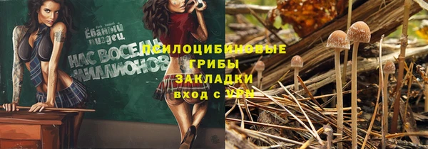 PSILOCYBIN Усинск