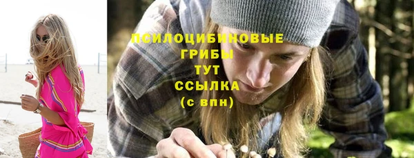 PSILOCYBIN Усинск