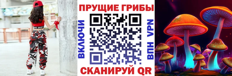 гидра ТОР  закладка  Ленск  Галлюциногенные грибы прущие грибы 